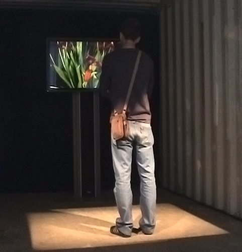 reste - festival Scopitone nantes